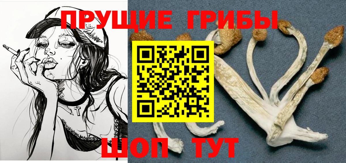 Кунгур  Псилоцибиновые грибы мицелий  Вход с VPN  продажа наркотиков  Псилоцибиновые грибы Cubensis 